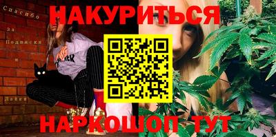 дмт Новокубанск