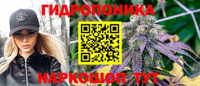 apvp Нальчик
