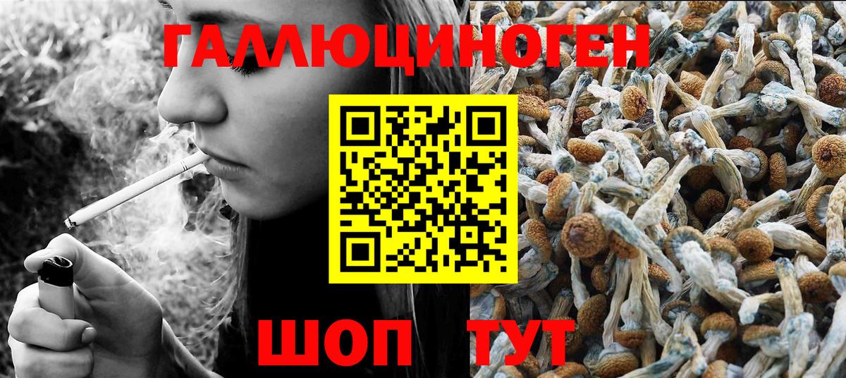Галлюциногенные грибы мицелий Среднеуральск